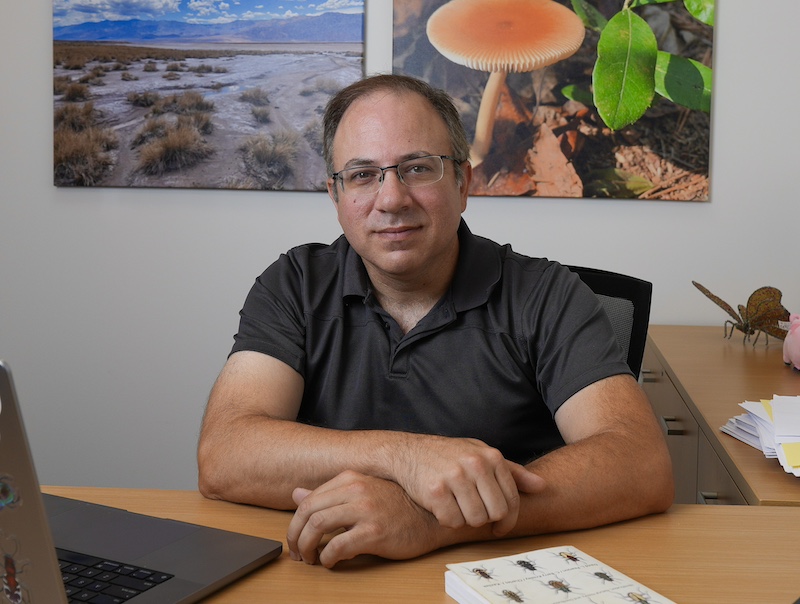 Dan Duran holds a tiger beetle in his hand.