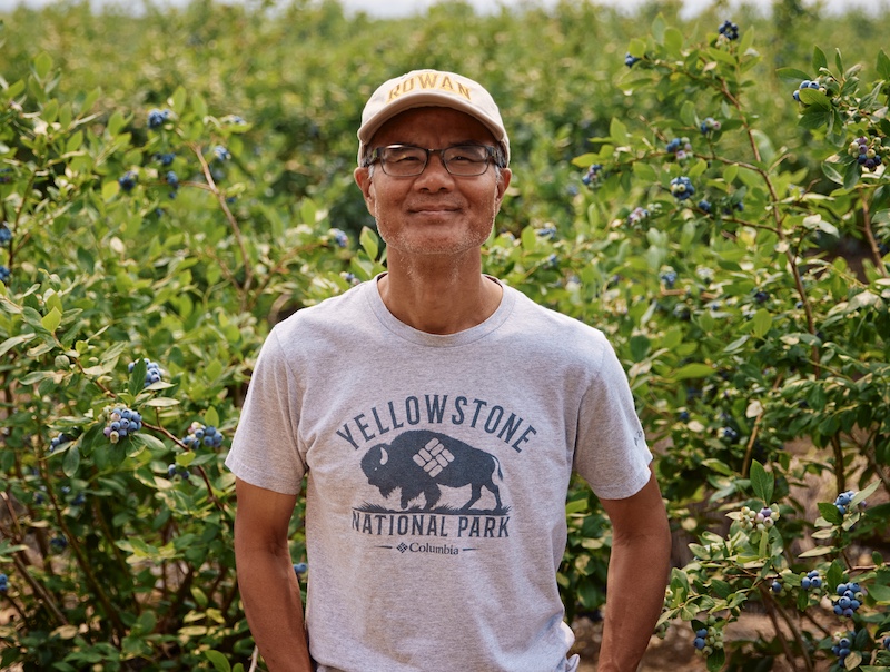 Hieu Nguyen works at a blueberry farm