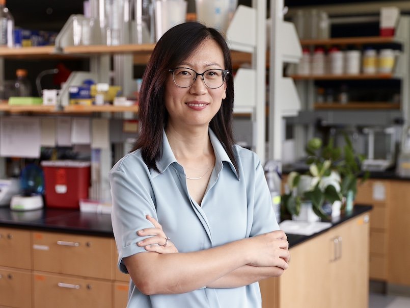 Zhihong Wang in her chemistry lab