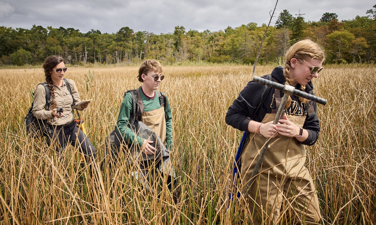 Students and professors walking through tall grasses in marshy area to do field work and soil testing