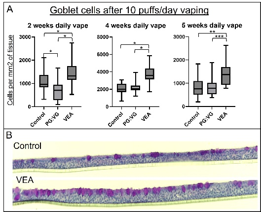 chart that shows airway tissue cultures chronically exposed to vapors generated from vitamin E acetate (VEA) contained a greater average amount of goblet cells compared to tissues exposed to propylene glycol/vegetable glycerin vapors, or control tissues.