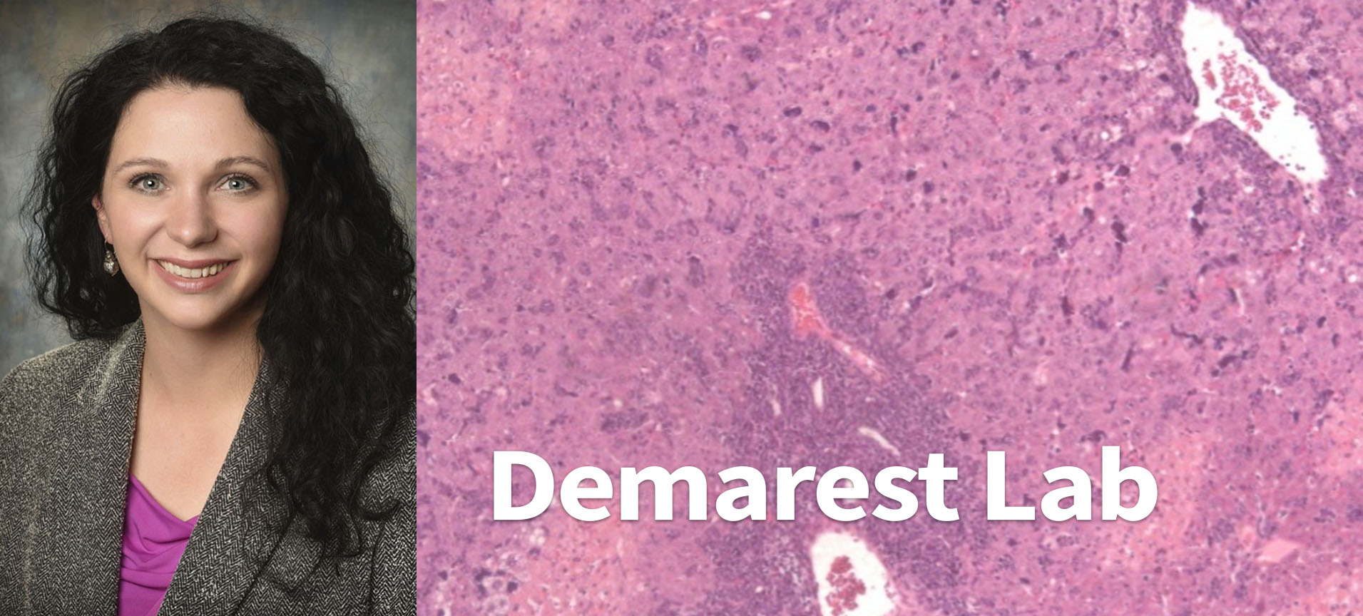 Demarest Lab