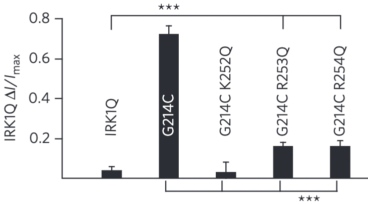 activity data showing how mutations in the linker decrease or eliminate VSP activity