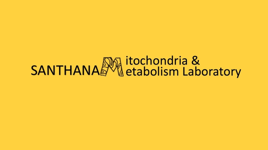 Santhanam lab's logo